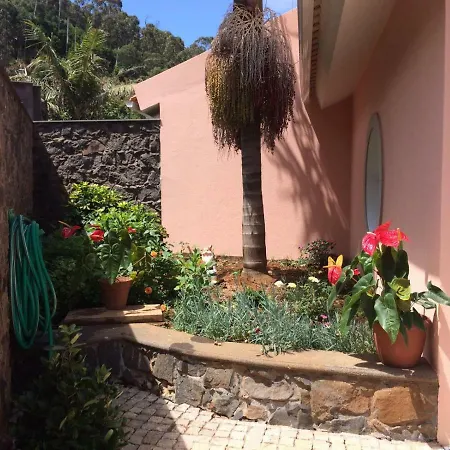 Paradise Ocean View By Analodges *